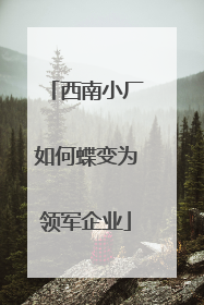 西南小厂如何蝶变为领军企业