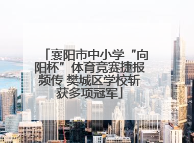 襄阳市中小学“向阳杯”体育竞赛捷报频传 樊城区学校斩获多项冠军