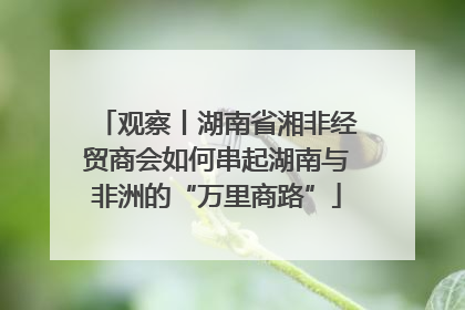 观察丨湖南省湘非经贸商会如何串起湖南与非洲的“万里商路”