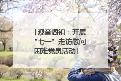 观音阁镇：开展“七一”走访慰问困难党员活动