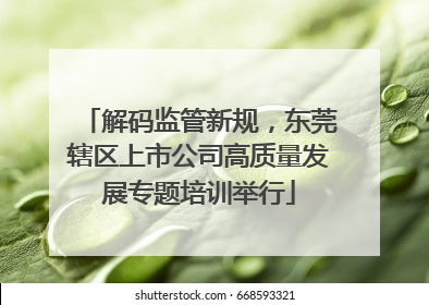 解码监管新规，东莞辖区上市公司高质量发展专题培训举行