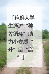 这群大学生通过“种养循环”助力小麦质“升”量“高”