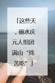 这些天，丽水庆元人组团满山“找苦吃”