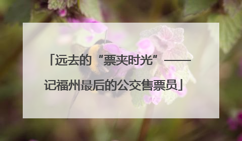远去的“票夹时光”——记福州最后的公交售票员