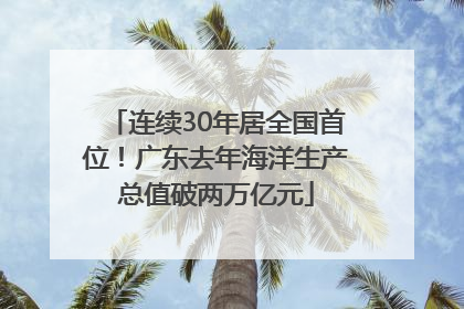 连续30年居全国首位！广东去年海洋生产总值破两万亿元