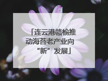 连云港赣榆推动海苔老产业向“新”发展