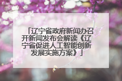 辽宁省政府新闻办召开新闻发布会解读《辽宁省促进人工智能创新发展实施方案》