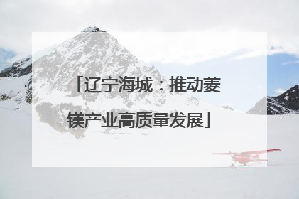 辽宁海城：推动菱镁产业高质量发展