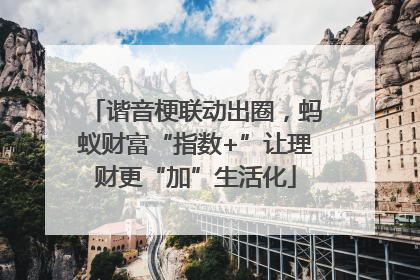 谐音梗联动出圈，蚂蚁财富“指数+”让理财更“加”生活化