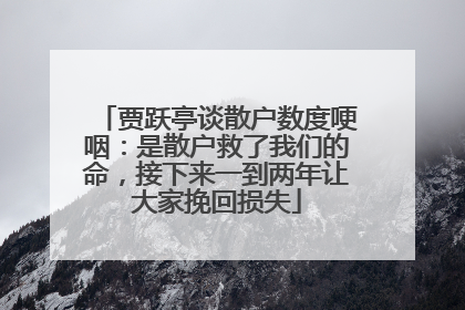 贾跃亭谈散户数度哽咽：是散户救了我们的命，接下来一到两年让大家挽回损失