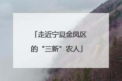 走近宁夏金凤区的“三新”农人