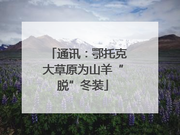 通讯：鄂托克大草原为山羊“脱”冬装