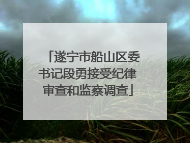 遂宁市船山区委书记段勇接受纪律审查和监察调查