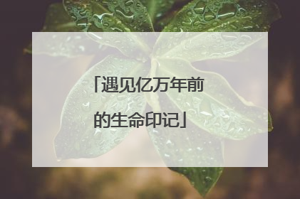 遇见亿万年前的生命印记