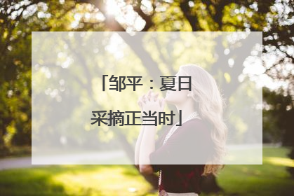 邹平：夏日采摘正当时