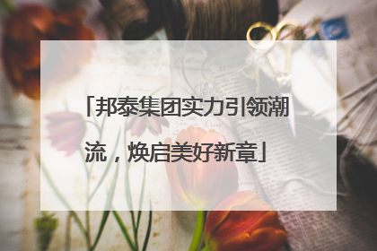 邦泰集团实力引领潮流，焕启美好新章