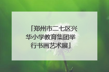 郑州市二七区兴华小学教育集团举行书画艺术展