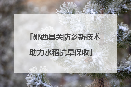 郧西县关防乡新技术助力水稻抗旱保收