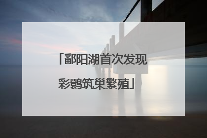 鄱阳湖首次发现彩鹮筑巢繁殖