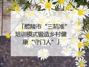 醴陵市“三精准”培训模式锻造乡村健康“守门人”