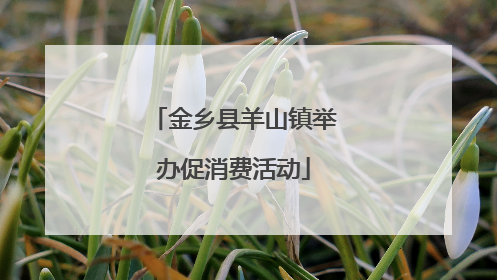 金乡县羊山镇举办促消费活动