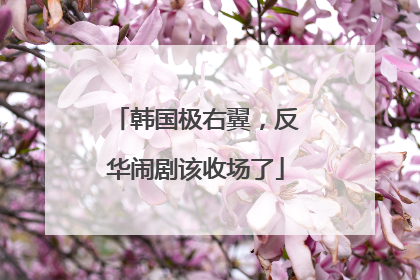 韩国极右翼，反华闹剧该收场了