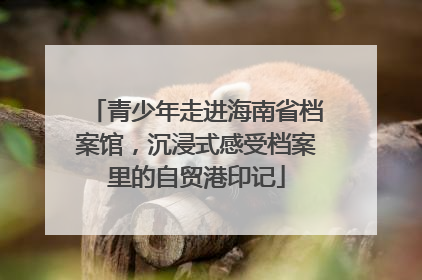 青少年走进海南省档案馆，沉浸式感受档案里的自贸港印记
