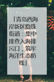 青岛西海岸新区隐珠街道：集中排查入海排污口，筑牢海洋生态防线