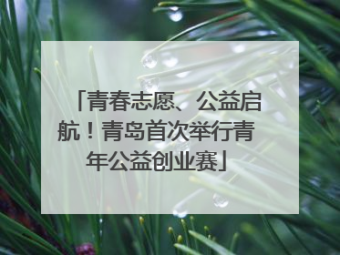 青春志愿、公益启航！青岛首次举行青年公益创业赛