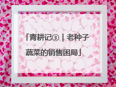 青耕记③｜老种子蔬菜的销售困局