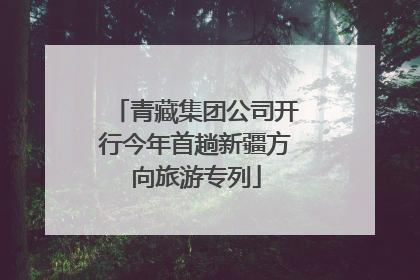 青藏集团公司开行今年首趟新疆方向旅游专列