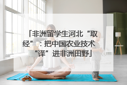 非洲留学生河北“取经”：把中国农业技术“译”进非洲田野