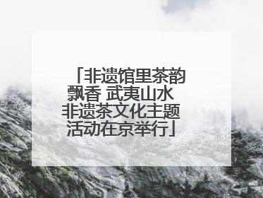 非遗馆里茶韵飘香 武夷山水非遗茶文化主题活动在京举行