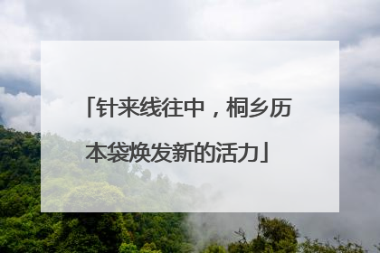 针来线往中，桐乡历本袋焕发新的活力