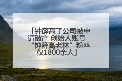 钟薛高子公司被申请破产 创始人账号“钟薛高老林”粉丝仅1800余人