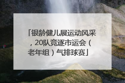 银龄健儿展运动风采，20队竞逐市运会（老年组）气排球赛