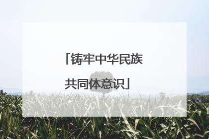 铸牢中华民族共同体意识