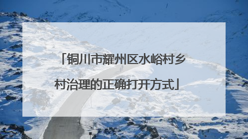 铜川市耀州区水峪村乡村治理的正确打开方式