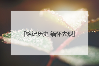 铭记历史 缅怀先烈