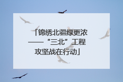 锦绣北疆绿更浓——“三北”工程攻坚战在行动