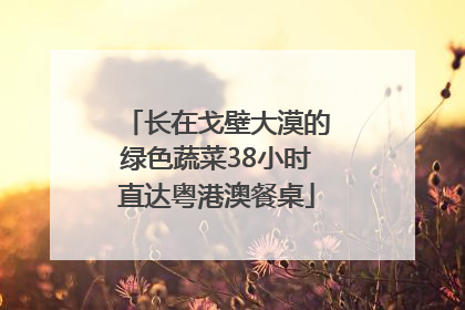 长在戈壁大漠的绿色蔬菜38小时直达粤港澳餐桌