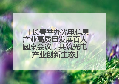 长春举办光电信息产业高质量发展百人圆桌会议，共筑光电产业创新生态