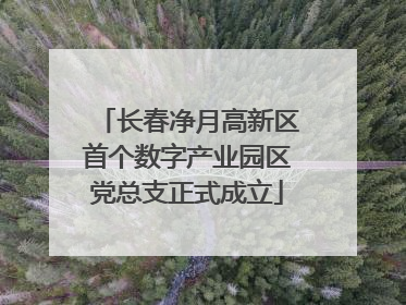 长春净月高新区首个数字产业园区党总支正式成立