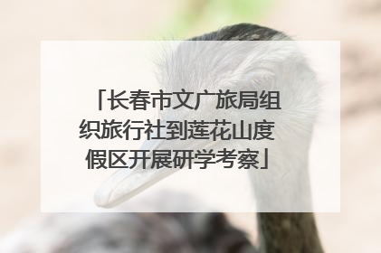 长春市文广旅局组织旅行社到莲花山度假区开展研学考察