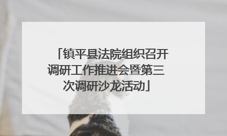 镇平县法院组织召开调研工作推进会暨第三次调研沙龙活动