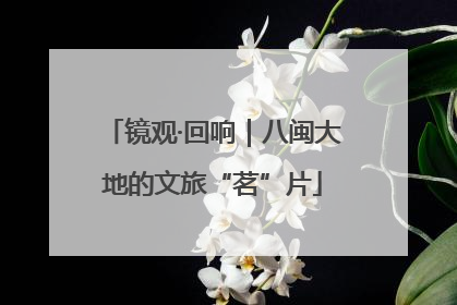 镜观·回响｜八闽大地的文旅“茗”片