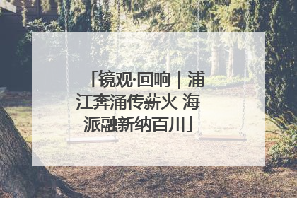 镜观·回响｜浦江奔涌传薪火 海派融新纳百川