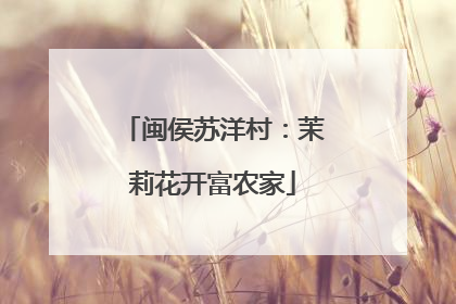 闽侯苏洋村：茉莉花开富农家