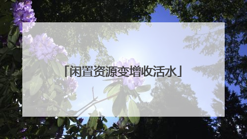 闲置资源变增收活水