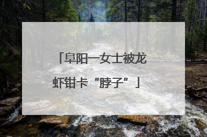 阜阳一女士被龙虾钳卡“脖子”